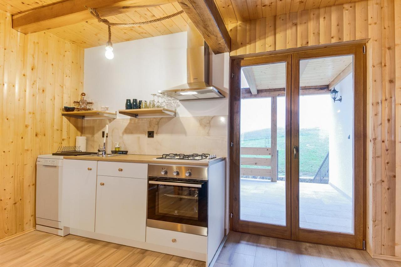 Apartment Stone And Wood Cetingrad 外观 照片